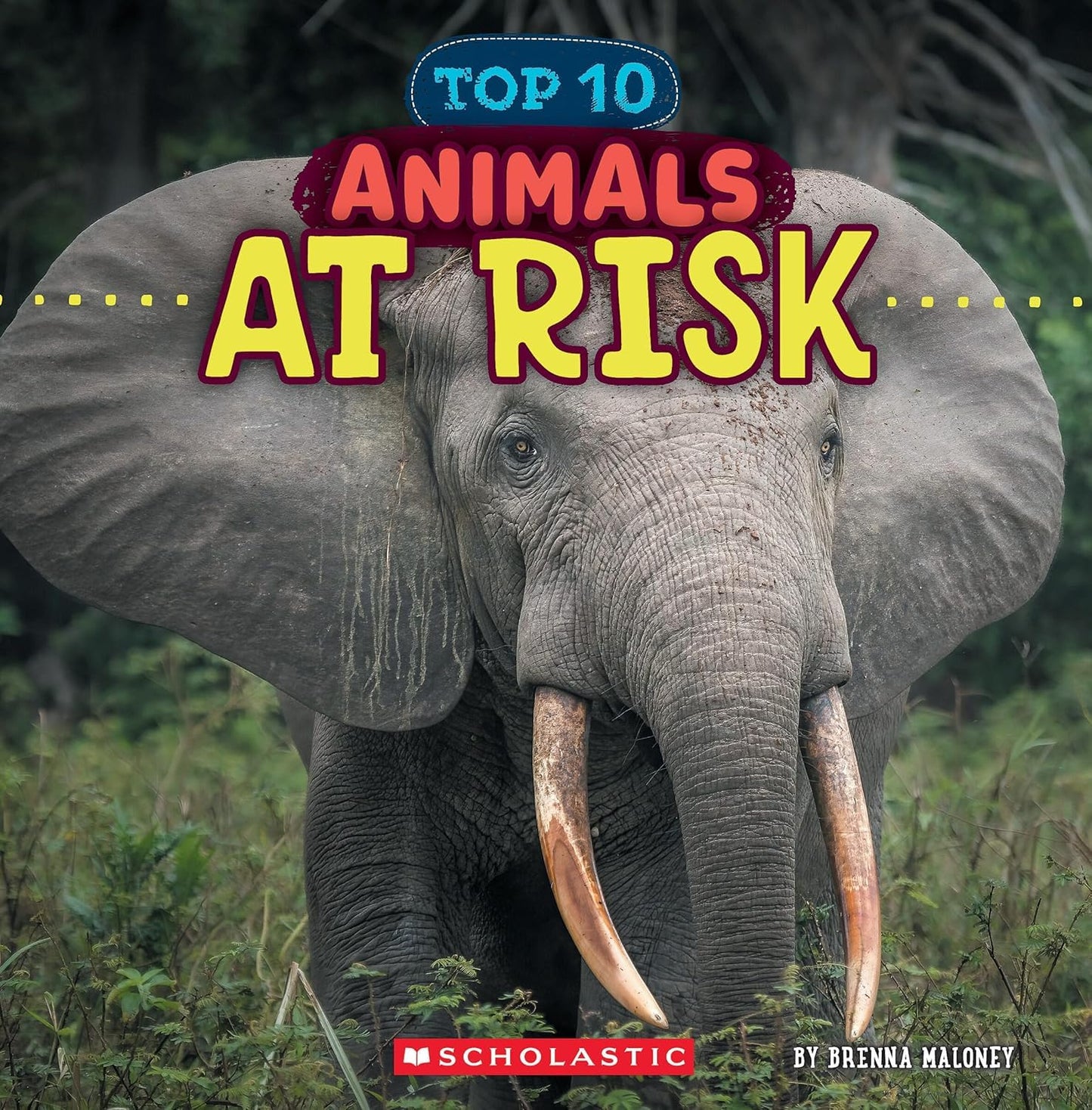 Animals At Risk (Wild World: Top 10)