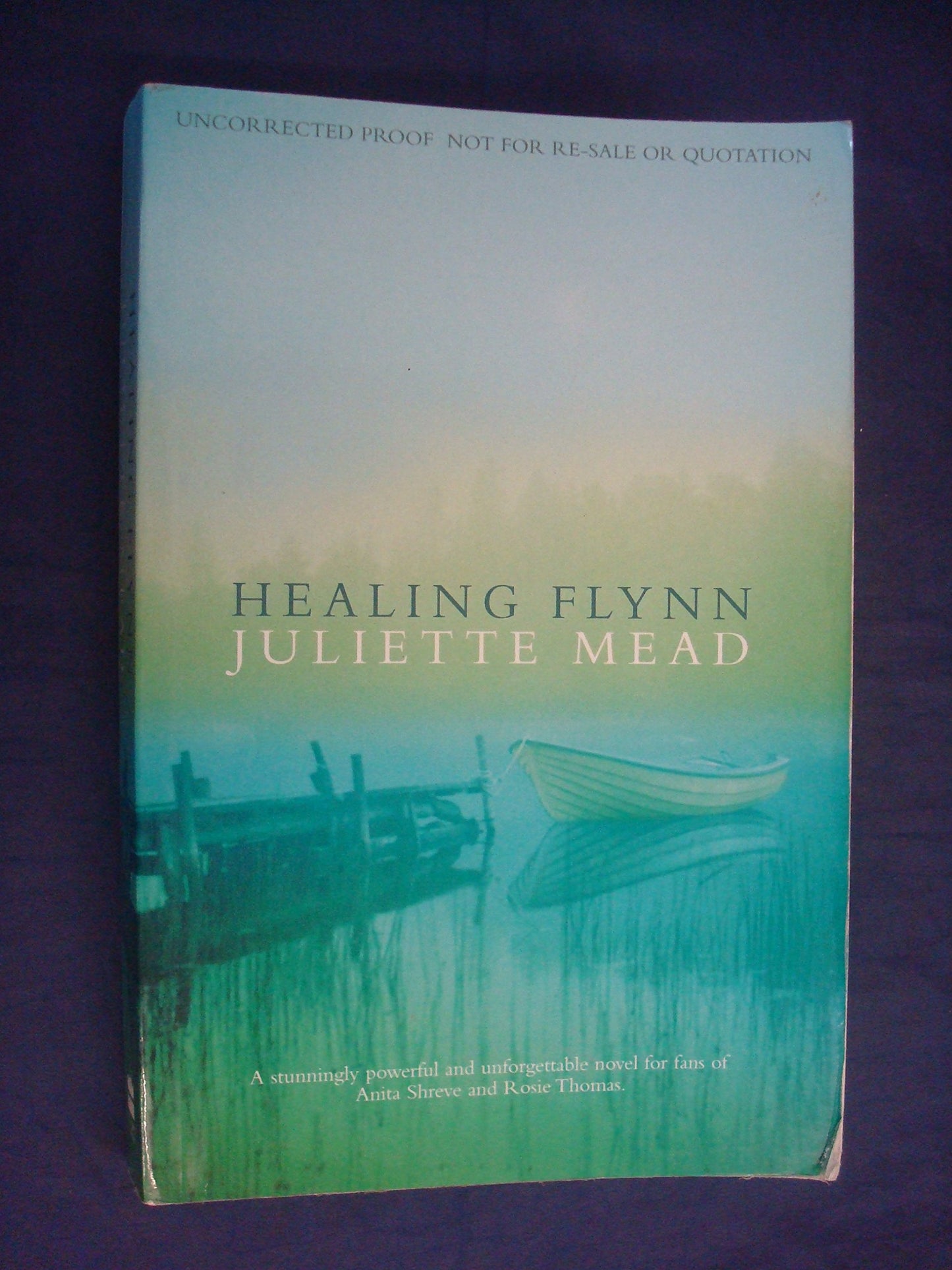 Healing Flynn