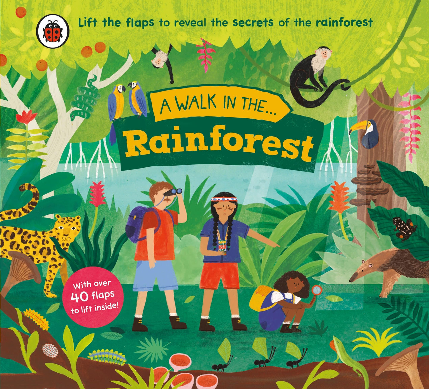 A Walk in the Rainforest: A lift-the-flap nature book