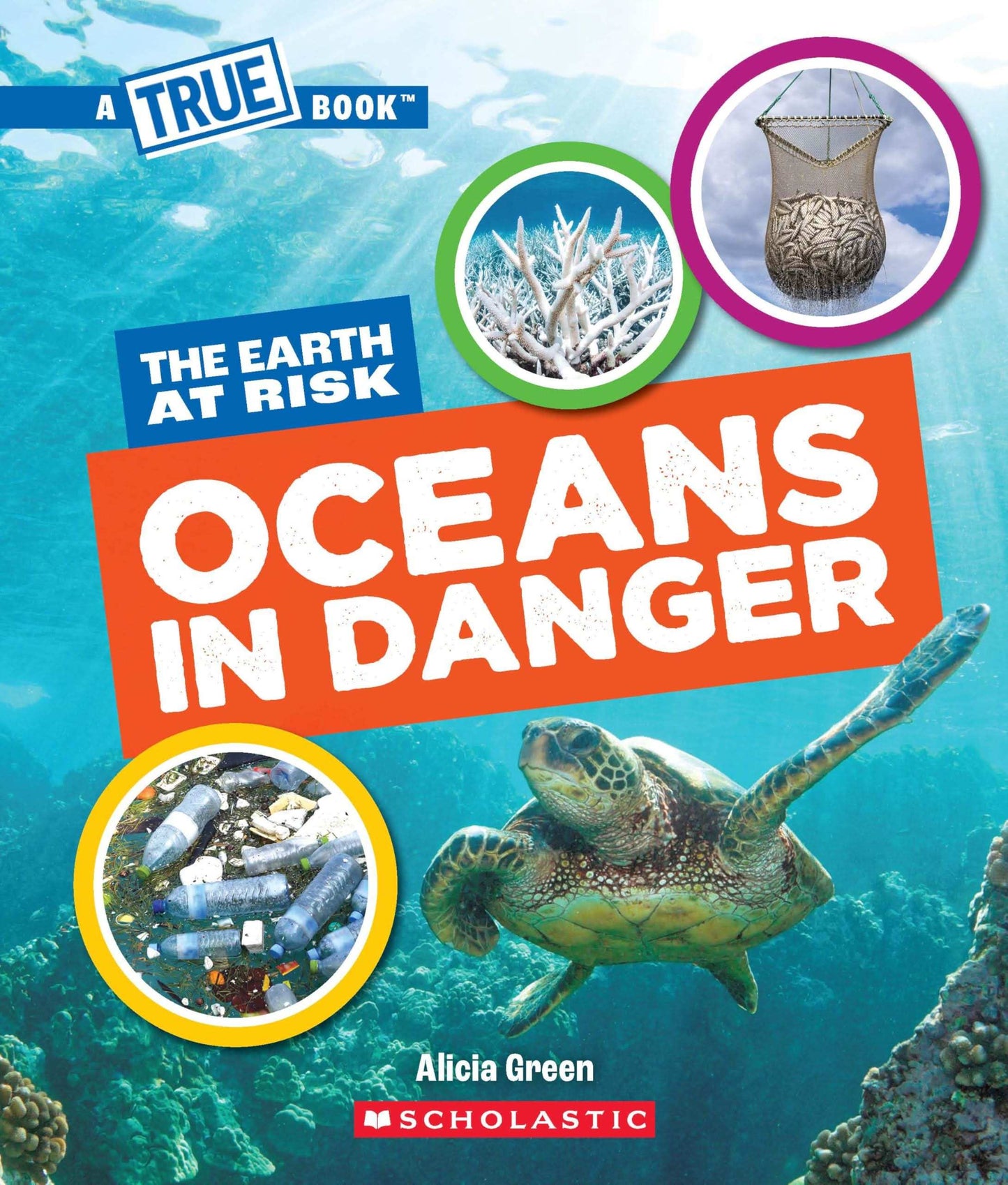 Oceans In Danger (A True Book: The Earth At Risk)
