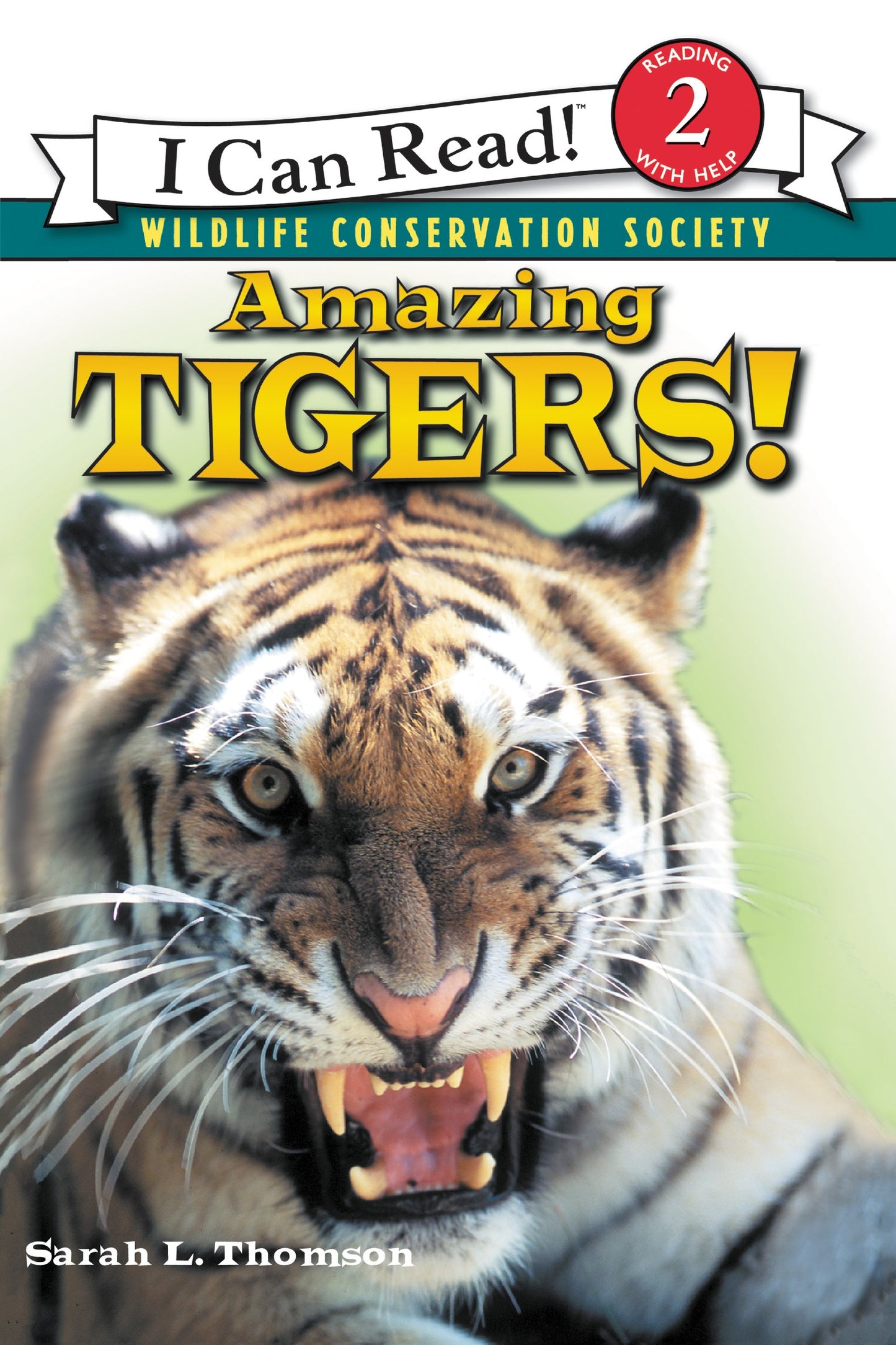 Amazing Tigers]