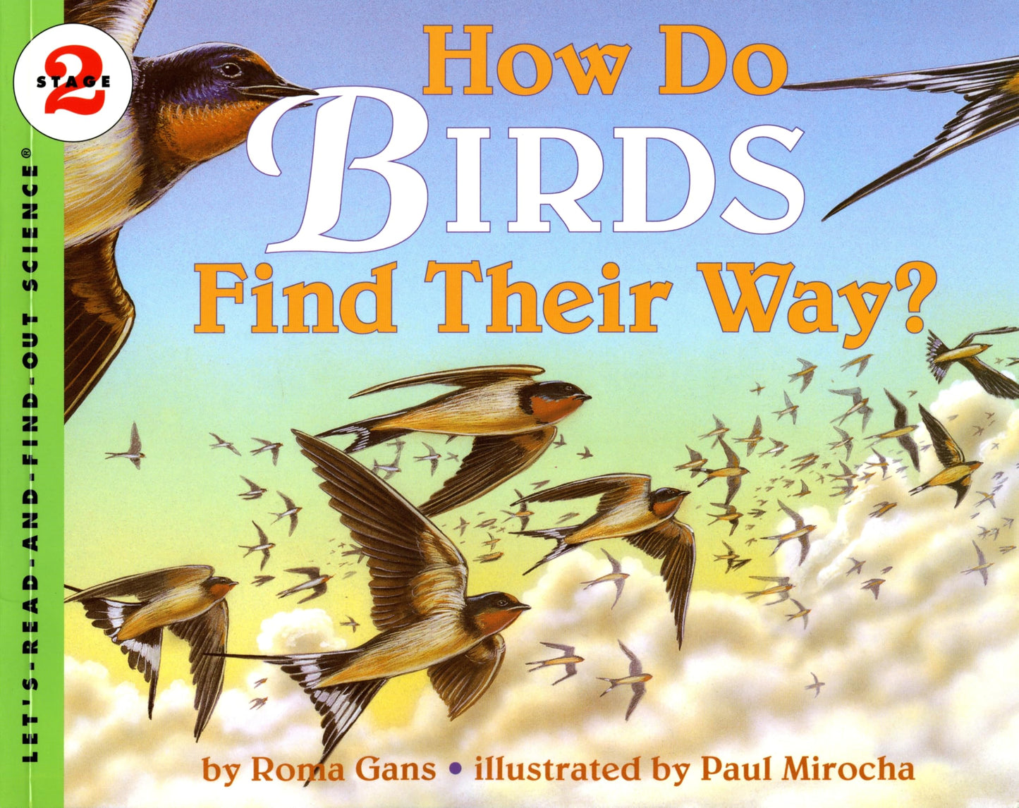 How Do Birds Find Their Way