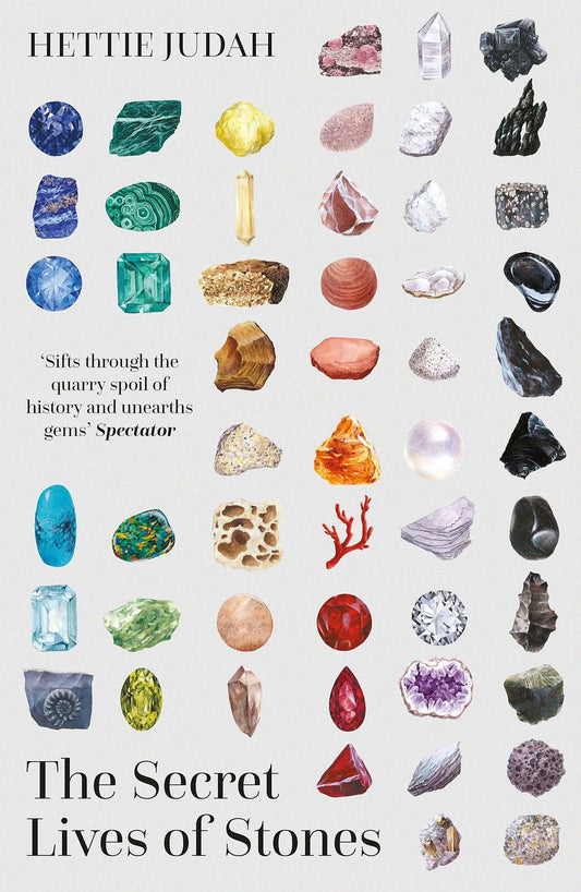 The Secret Life Of Stones