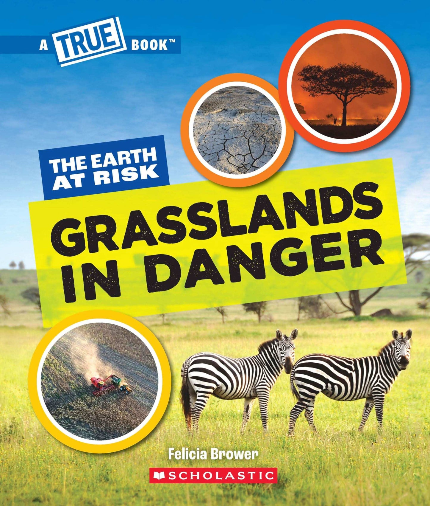 Grasslands In Danger (A True Book: The Earth At Risk)