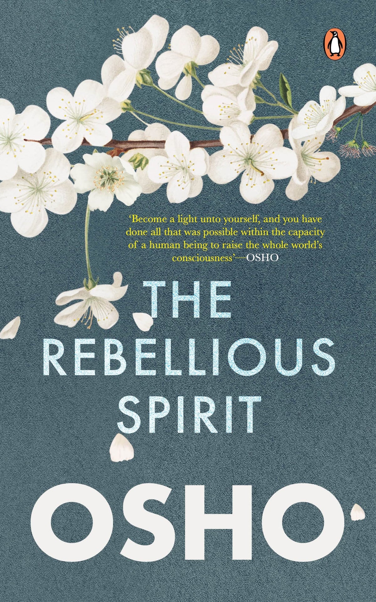 Rebellious Spirit