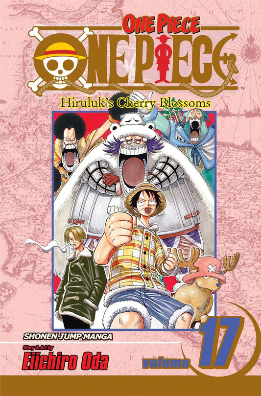 One Piece 17