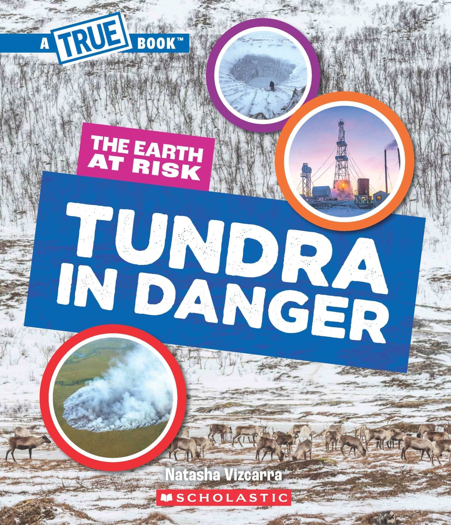 Tundra In Danger (A True Book: The Earth At Risk)