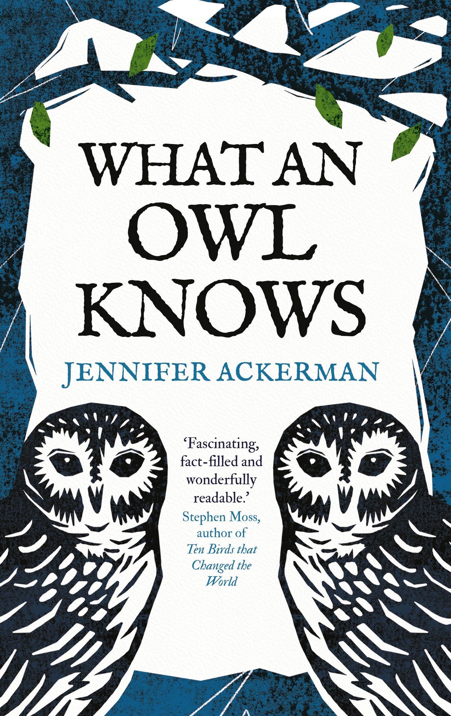 What An Owl Knows