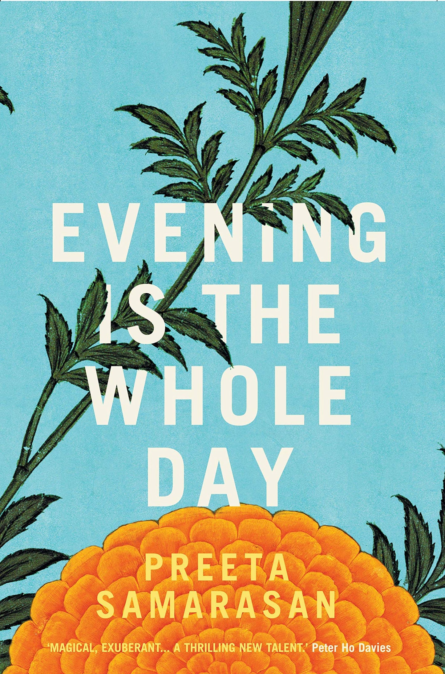 Evening Is The Whole Day