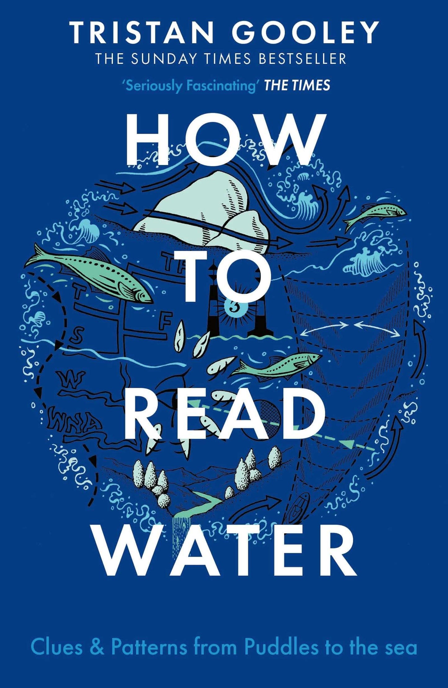 How To Read Water: Clues, Signs & Patterns From Puddles To The Sea