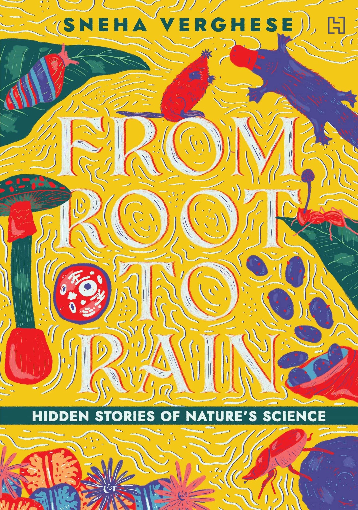 From Root To Rain