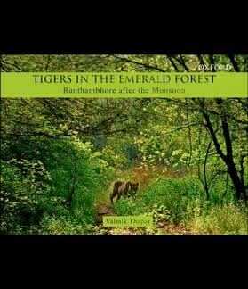 Tigers In The Emerald Forest