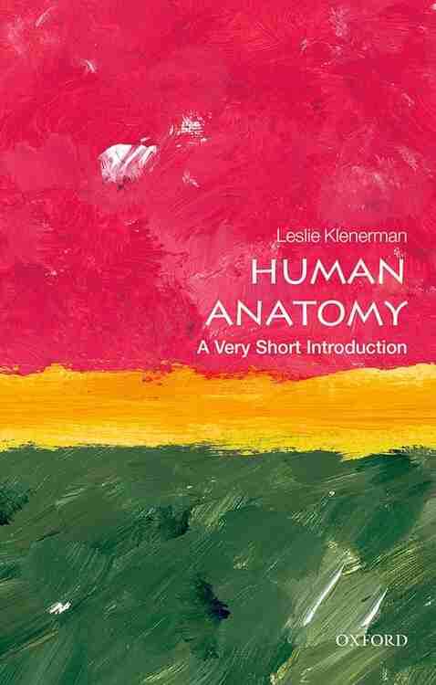 Human Anatomy 