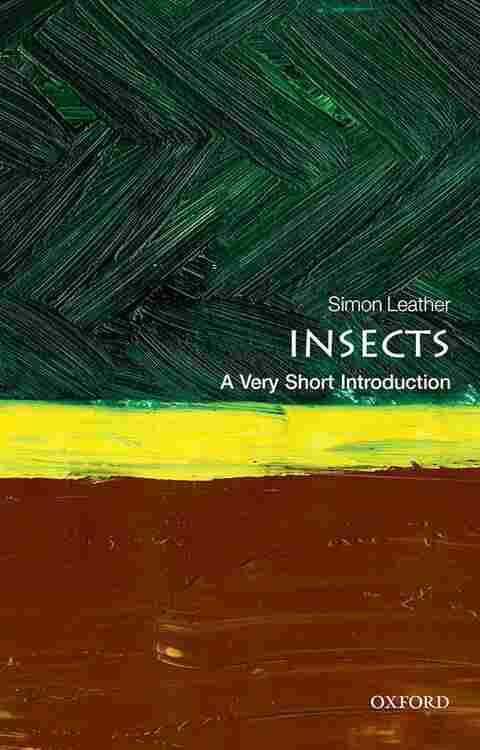 Insects Vsi P
