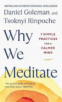 Why We Meditate (Lead Title)