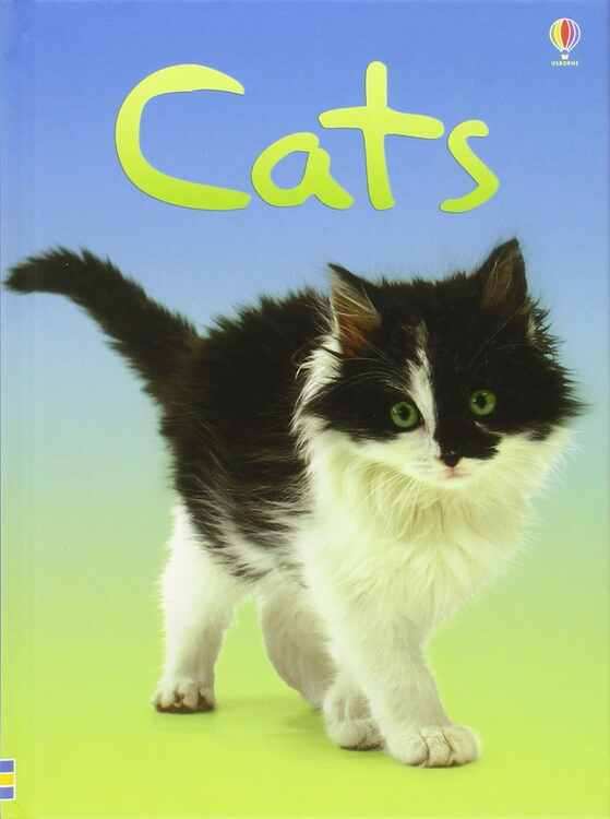 Cats
