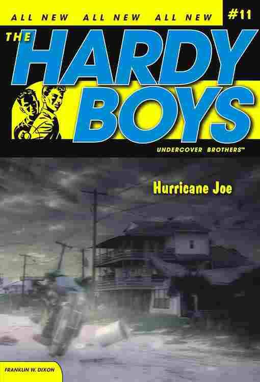 Hurricane Joe #11