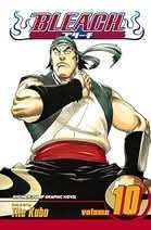 Bleach Vol 10