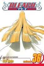 Bleach 34