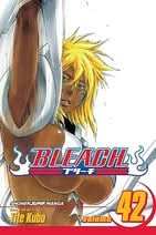 Bleach 42
