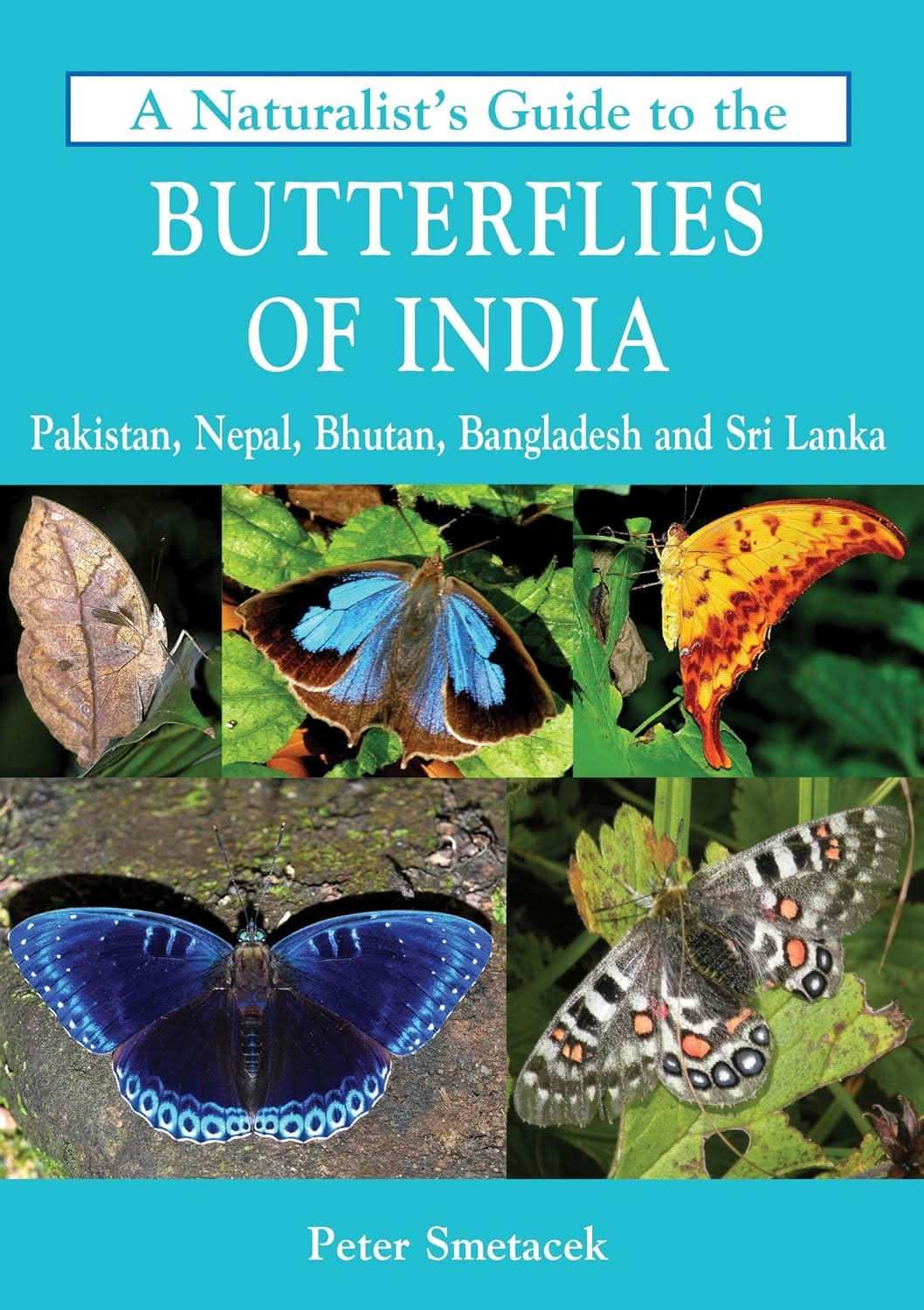 Naturalist's Guide To The Butterflies Of India
