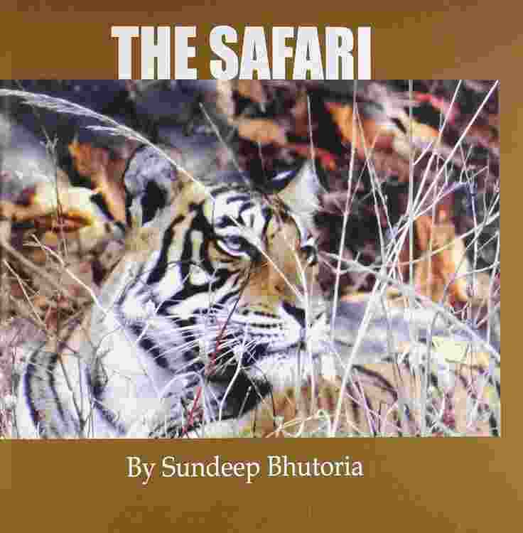 THE SAFARI