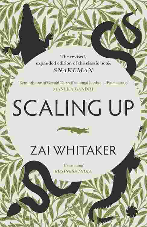 SCALING UP