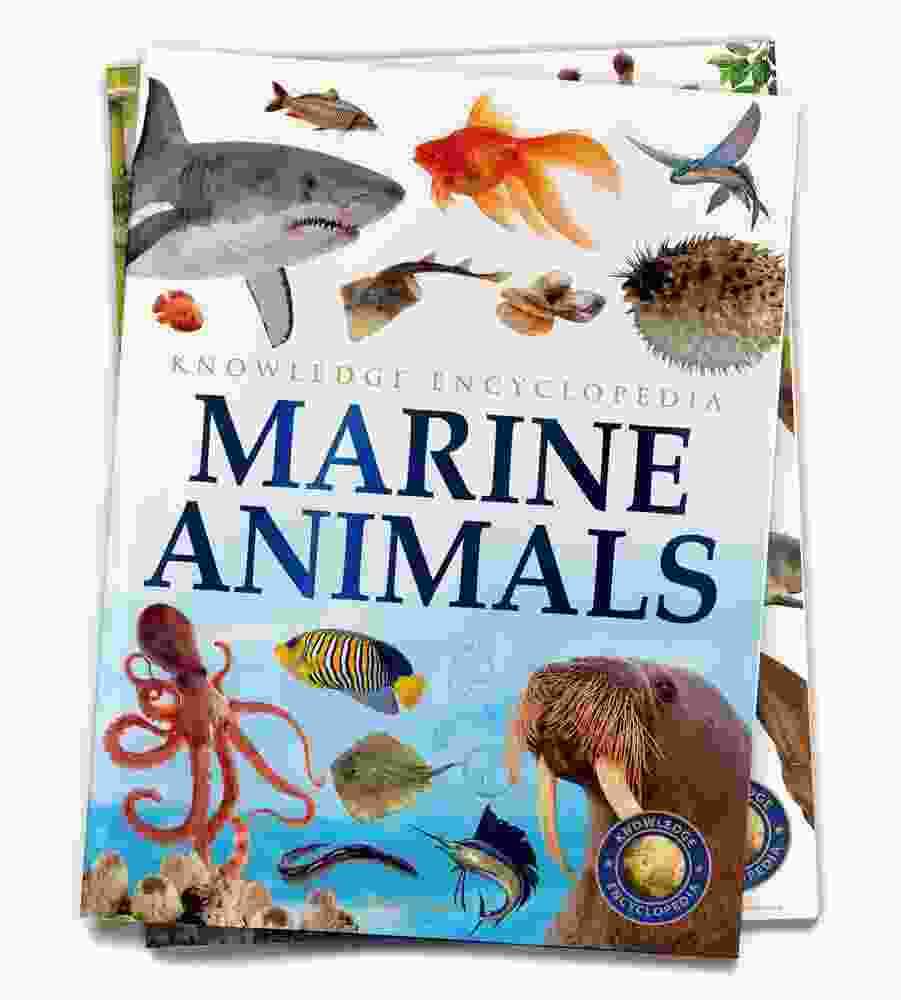 Animals - Marine Animals : Knowledge Encyclopedia For Children