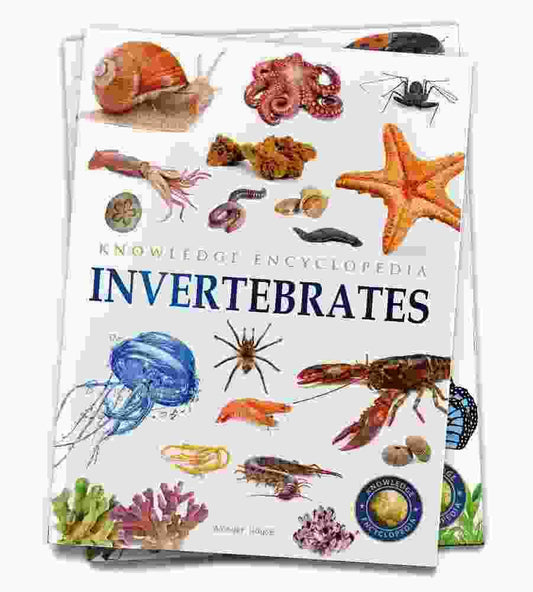Animals - Invertebrates : Knowledge Encyclopedia For Children