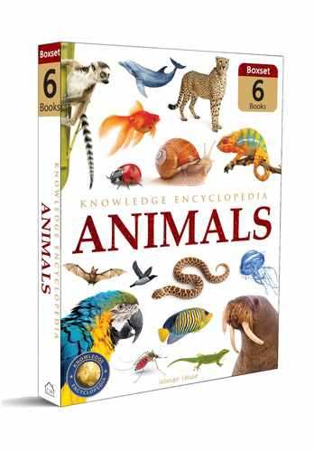 Animals  Knowledge Encyclopedia For Children