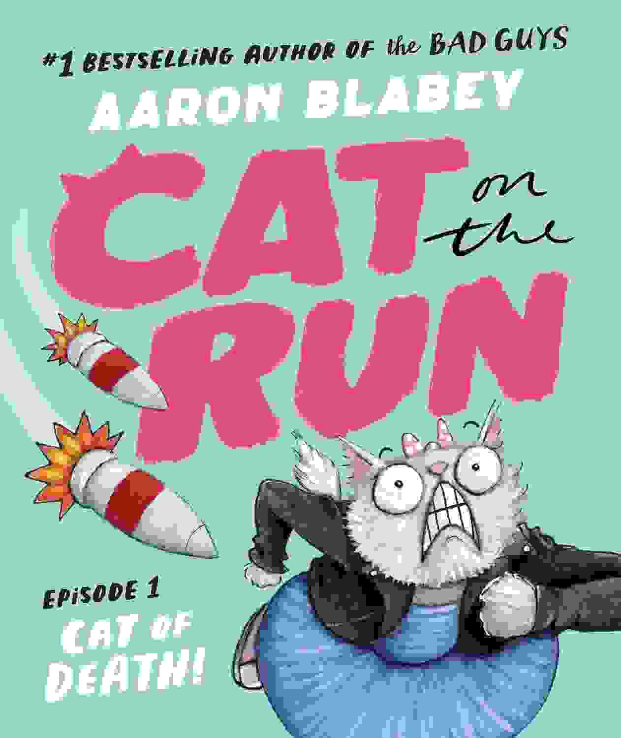 Cat On The Run