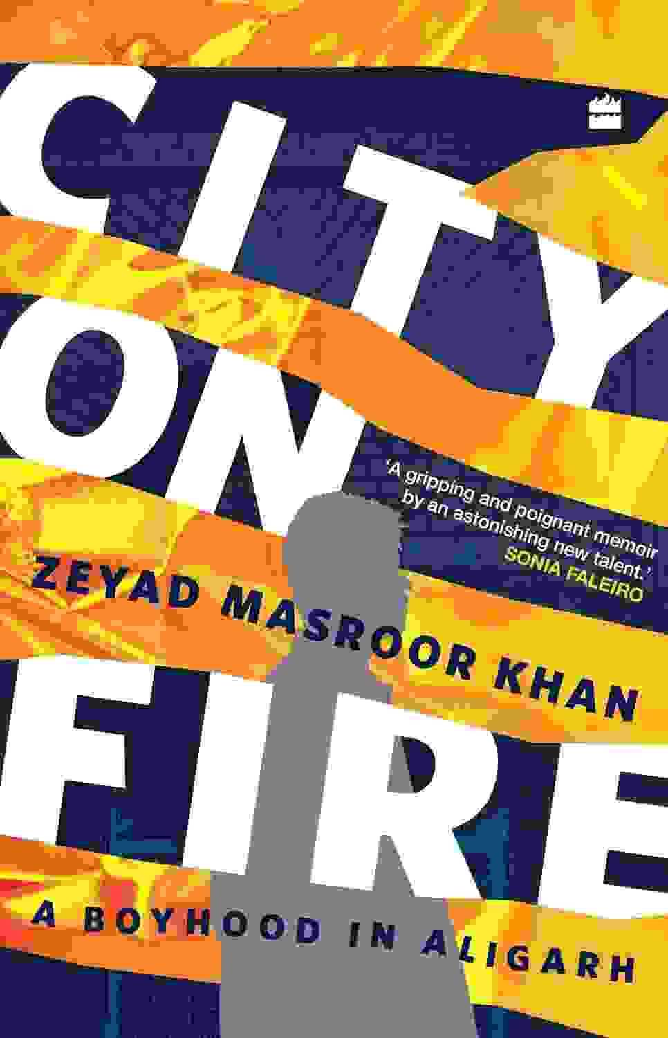 City On Fire: A Boyhood In Aligarh