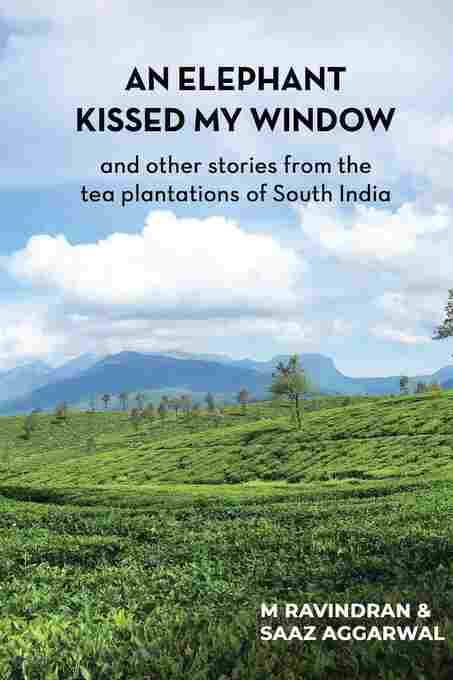 An Elephant Kissed My Window