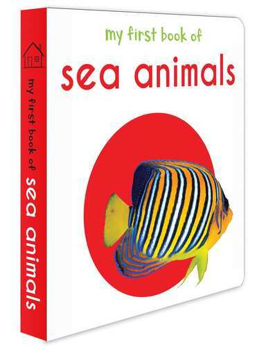 My First Book Of Sea Animals: First Board Book