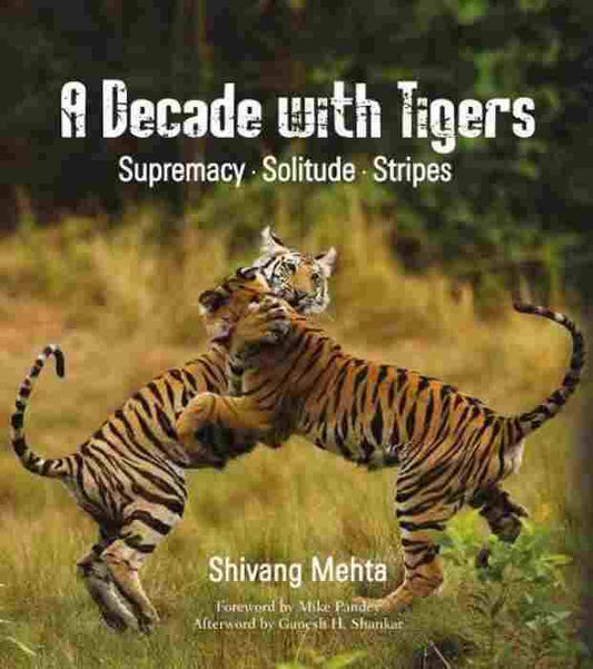 Decade With Tigers