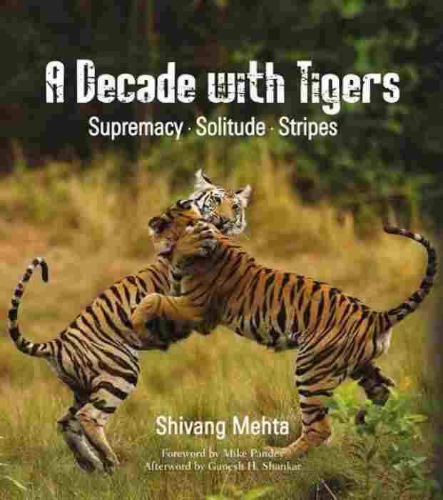 Decade With Tigers