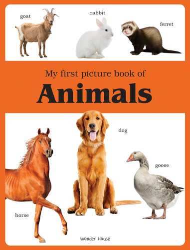 My First Picture Book Of Animals: Picture Books For Children  