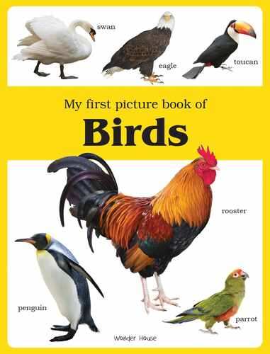 My First Picture Book Of Birds: Picture Books For Children  