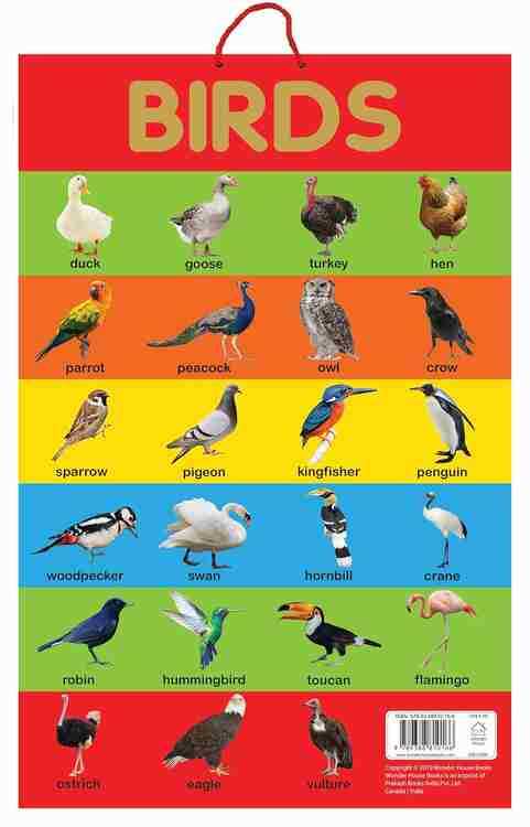 Birds - Early Learning Educational Posters For Children: Perfect For Kindergarten, Nursery And Homes
