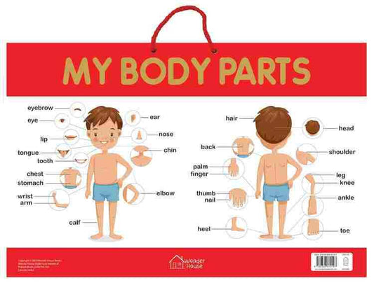 My Body Parts - Early Learning Educational Posters For Children: Perfect For Kindergarten, Nursery A