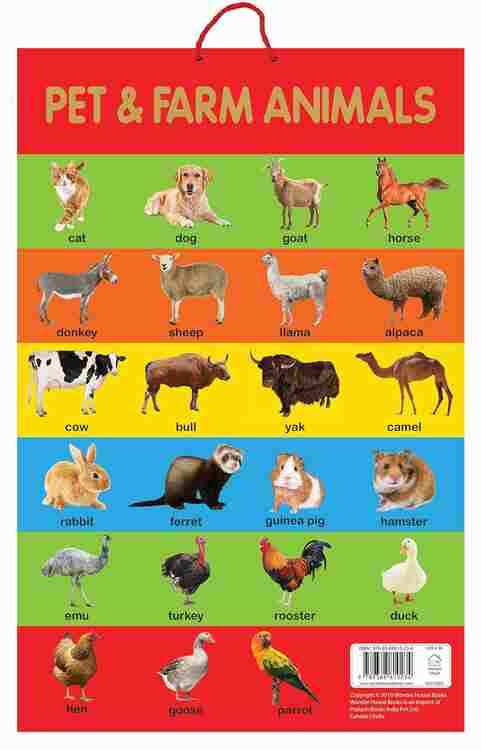 Pet & Farm Animals - Early Learning Educational Posters For Children: Perfect For Kindergarten, Nurs