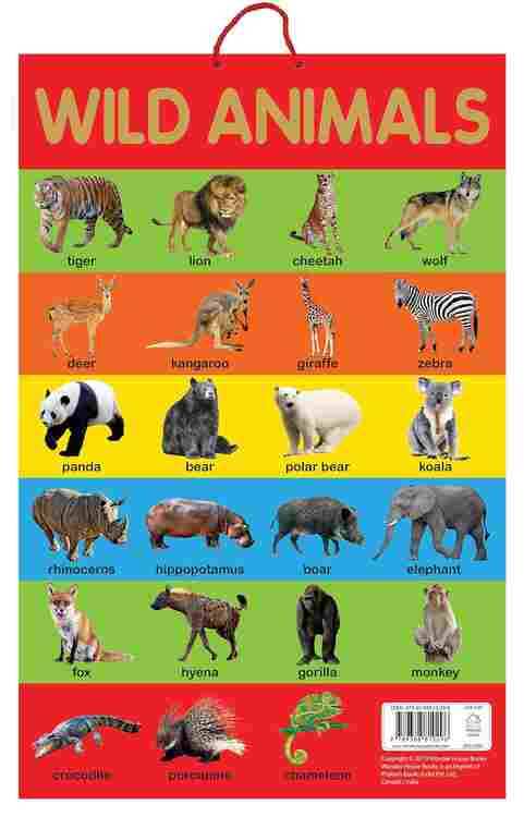 Wild Animals - Early Learning Educational Posters : Perfect For Kindergarten, Nursery And Homeschool