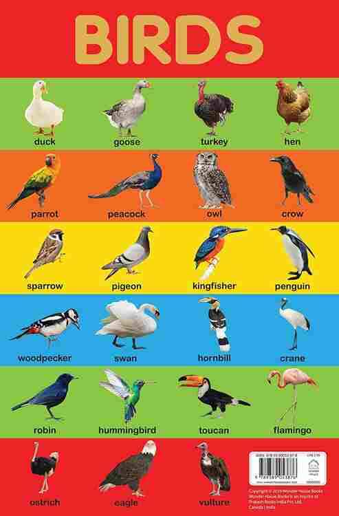 Birds Chart - Early Learning Educational Chart For Kids: Perfect For Homeschooling, Kindergarten And
