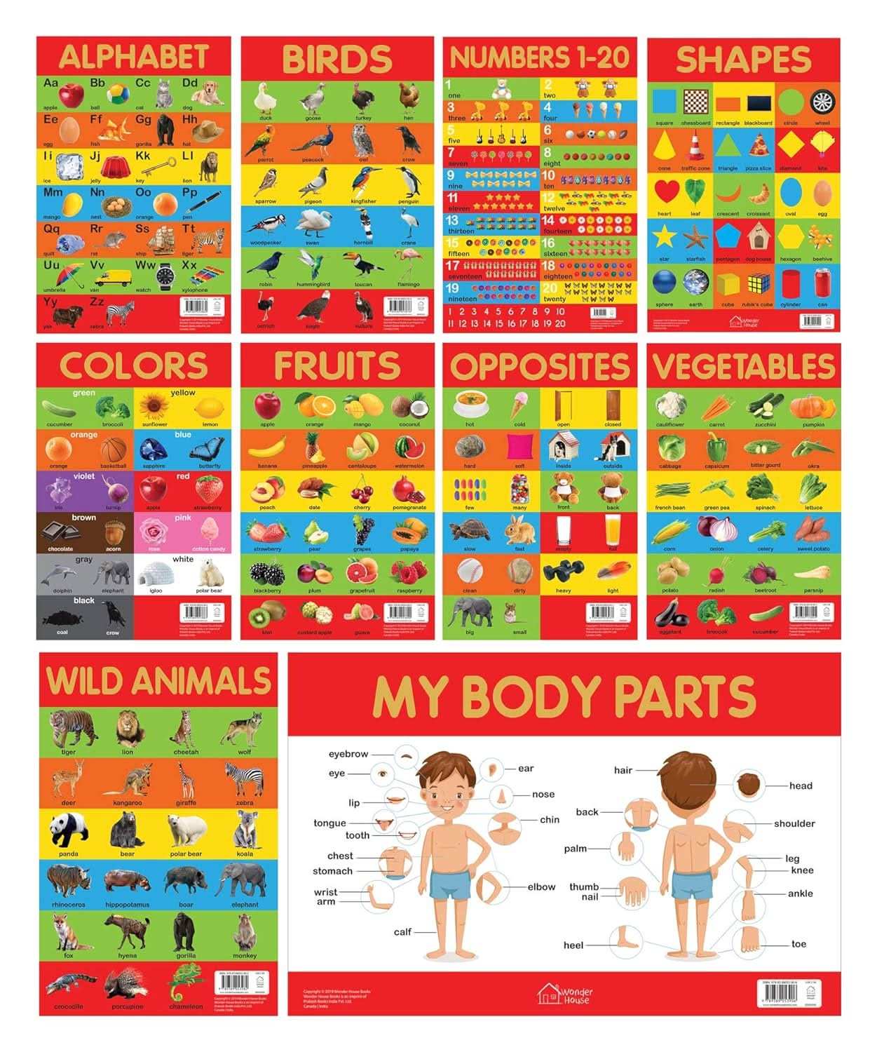 Early Learning Educational 10 Charts Boxset For Kids  - Perfect For Homeschooling, Kindergarten And N