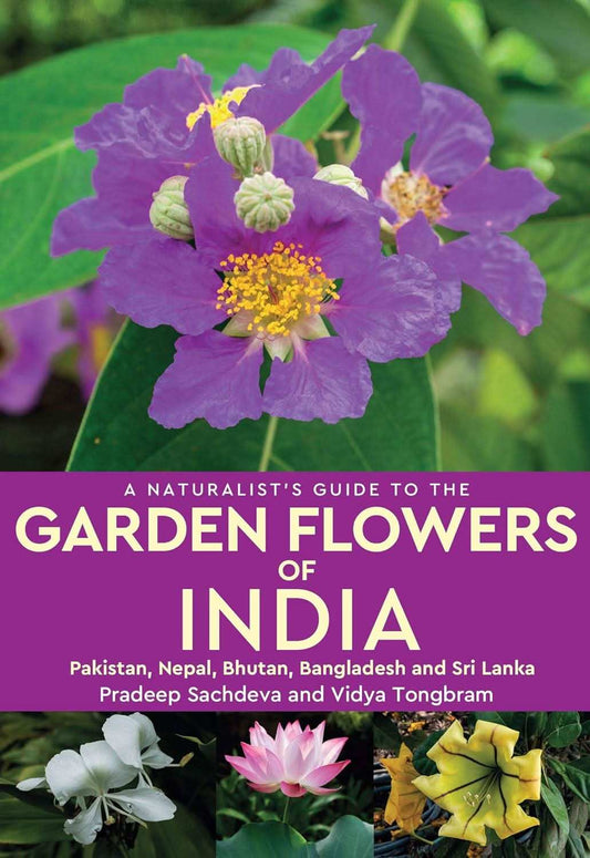 Naturalists Guide To The Garden Flowers Of India
