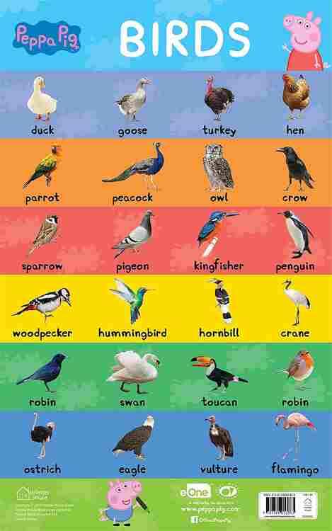 Learn With Peppa : Early Learning Birds Chart For Children