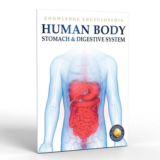 Human Body - Stomach And Digestive System - Knowledge Encyclopedia For Children
