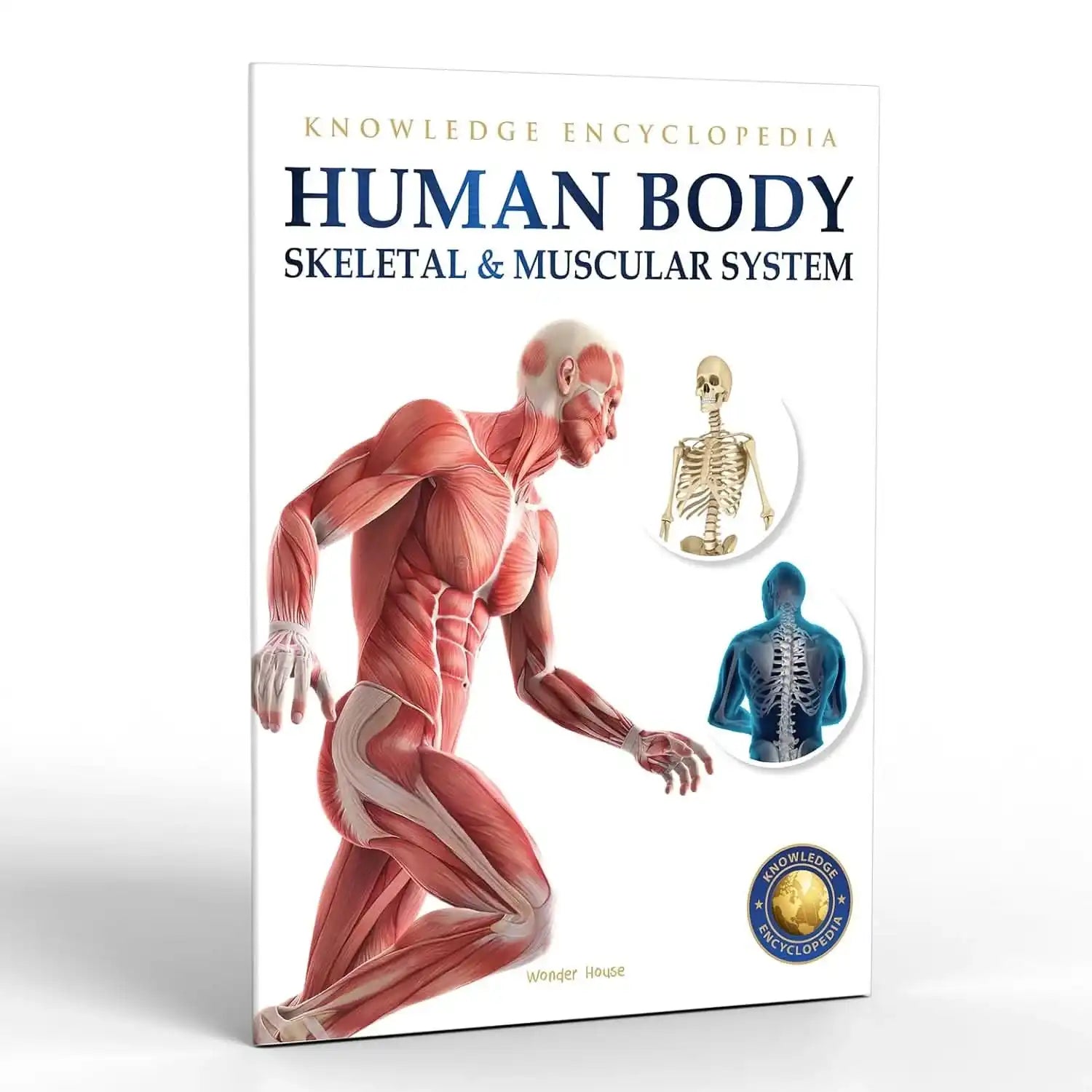Human Body - Skeletal And Muscular System - Knowledge Encyclopedia For Children