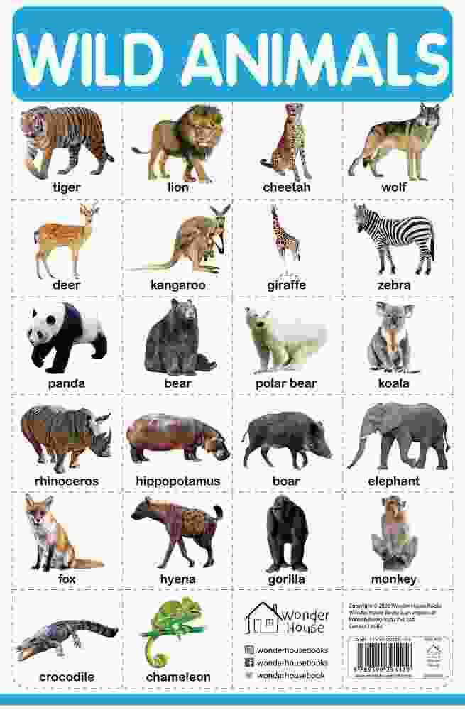 Wild Animals - My First Early Learning Wall Chart: For Preschool, Kindergarten, Nursery And Homescho