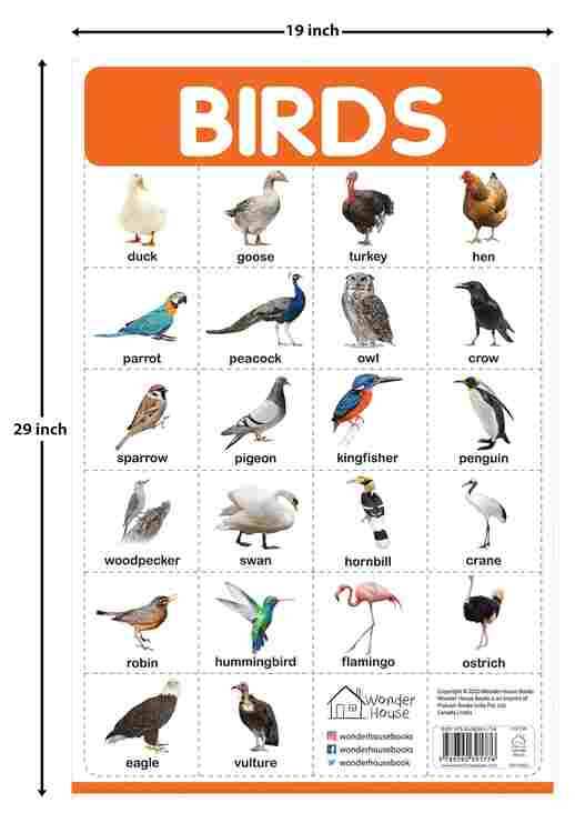 Birds - My First Early Learning Wall Posters: For Preschool, Kindergarten, Nursery And Homeschooling
